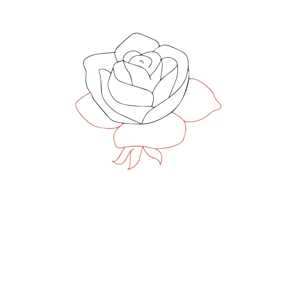 como desenhar uma rosa